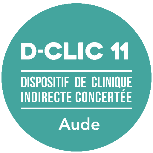 D-clic 11 dispositif de Clinique indirecte concertée